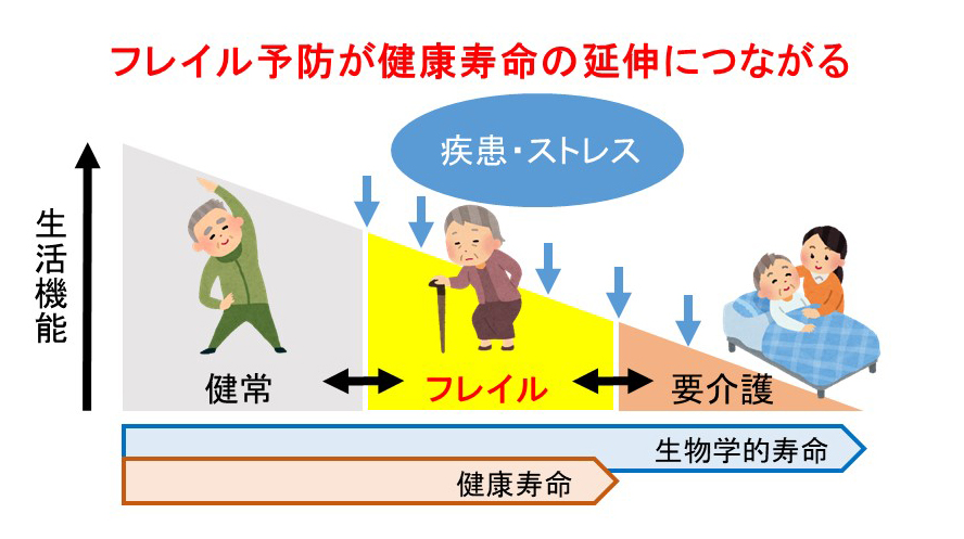 フレイル予防の図