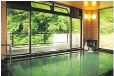 周りを自然に囲まれた鷹の湯の内観の写真