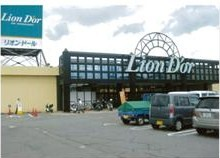 広い駐車場があるリオン・ドールコーポレーション十日町店の外観の写真