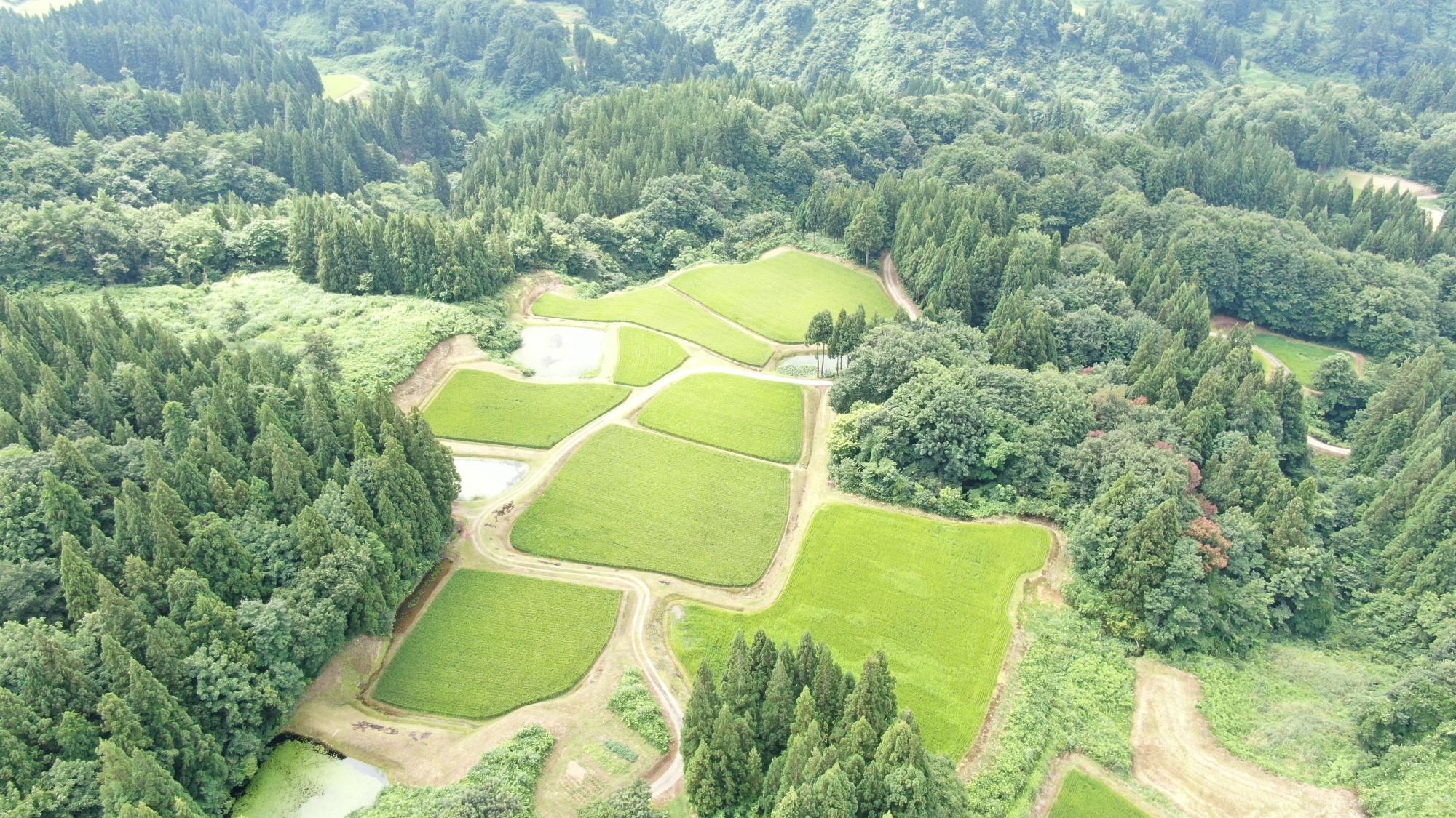 中山間農地の空撮