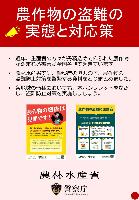 パンフレット画像