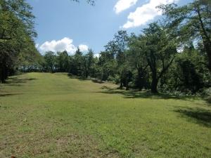 多くの木々に囲まれた、愛宕山公園内の広場の写真