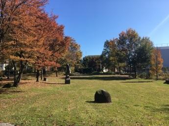 紅葉の時期を迎えた石彫プロムナードの景観の写真