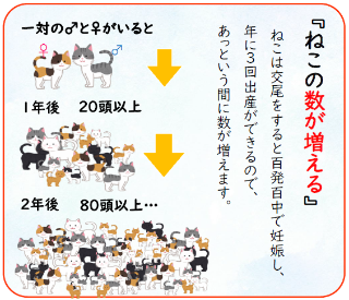 猫の数が増える