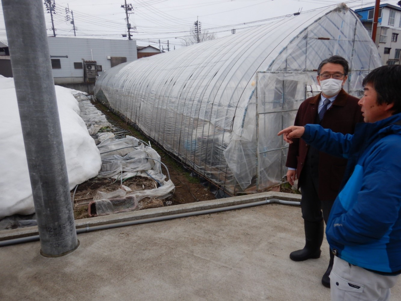 城之古パイプハウス被災現場視察2
