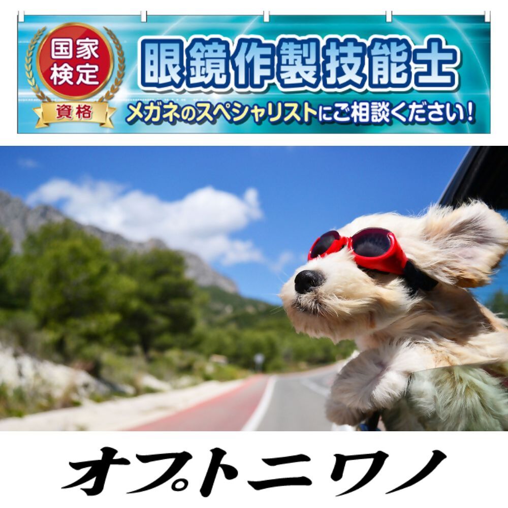 オプトノニワ写真