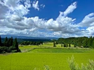 清田山キャンプ場芝生広場から望む、清田川の田園風景の写真