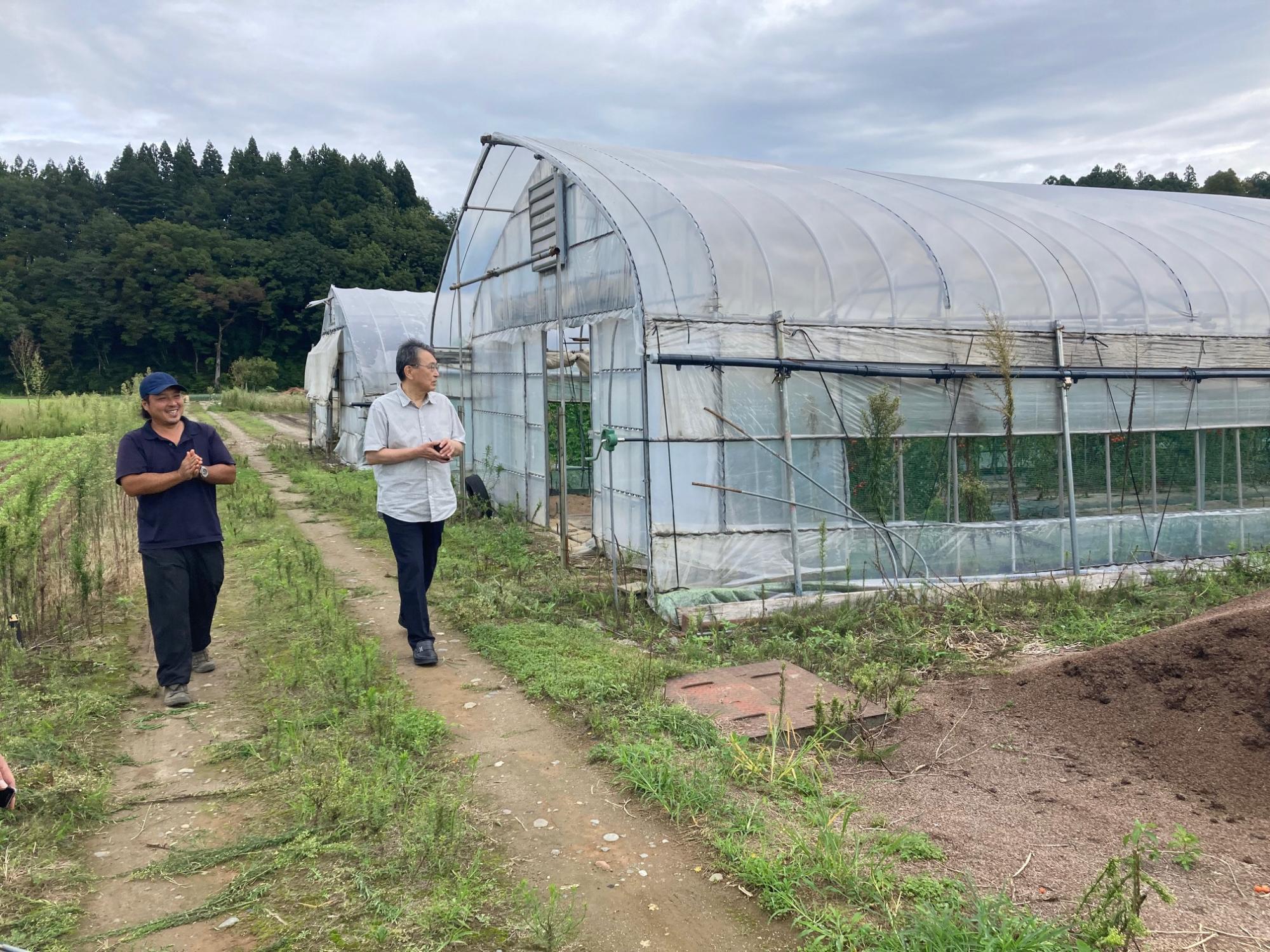 ほ場視察の様子