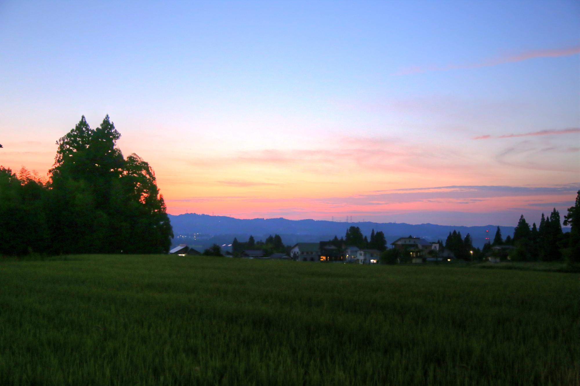 田園風景の写真
