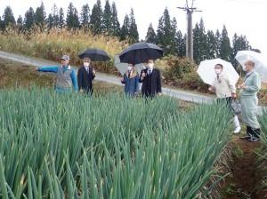 鷹羽の圃場を視察する市長の写真
