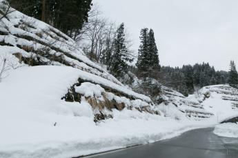 階段工法によって階段状になっている斜面の様子の写真