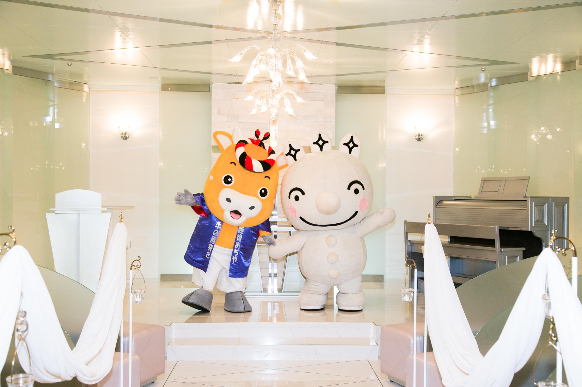 小千谷市と十日町市の婚活連携のためのPR写真