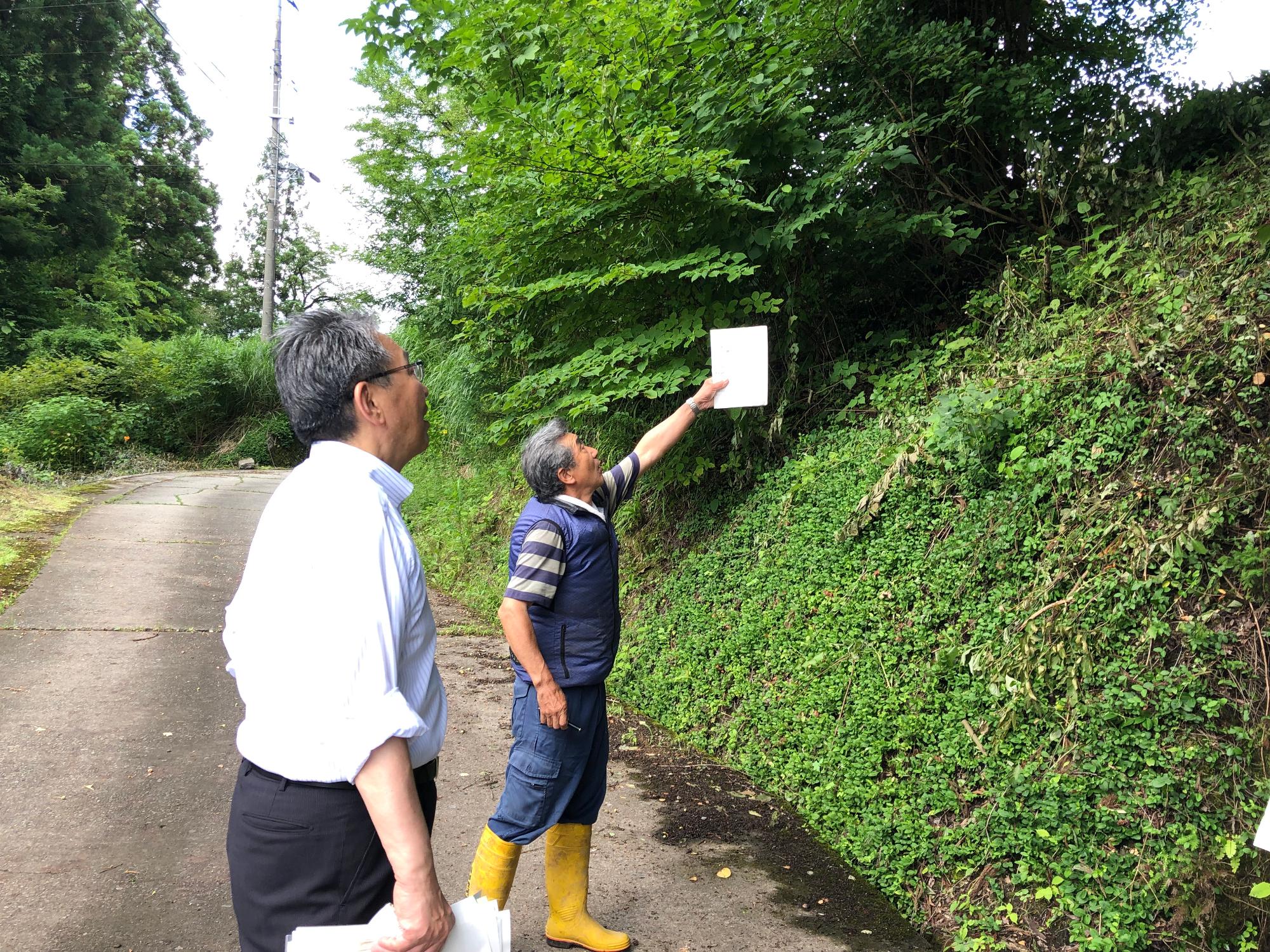 ohshirakura
