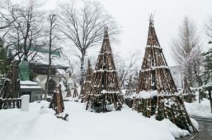 しっかりと雪囲いにガードされている木の様子の写真