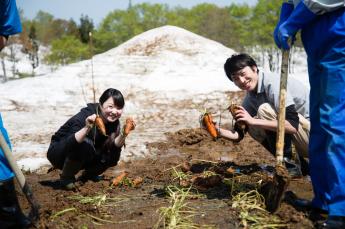雪の下からにんじんを収穫している男女の様子の写真