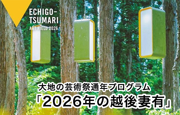 森の中にある箱型の芸術作品の画像