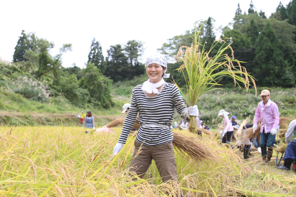 頭と首にタオルを巻きながら刈った稲を手に持つ笑顔の女性