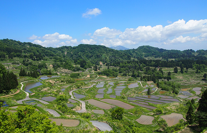 星峠の棚田（松代地域）
