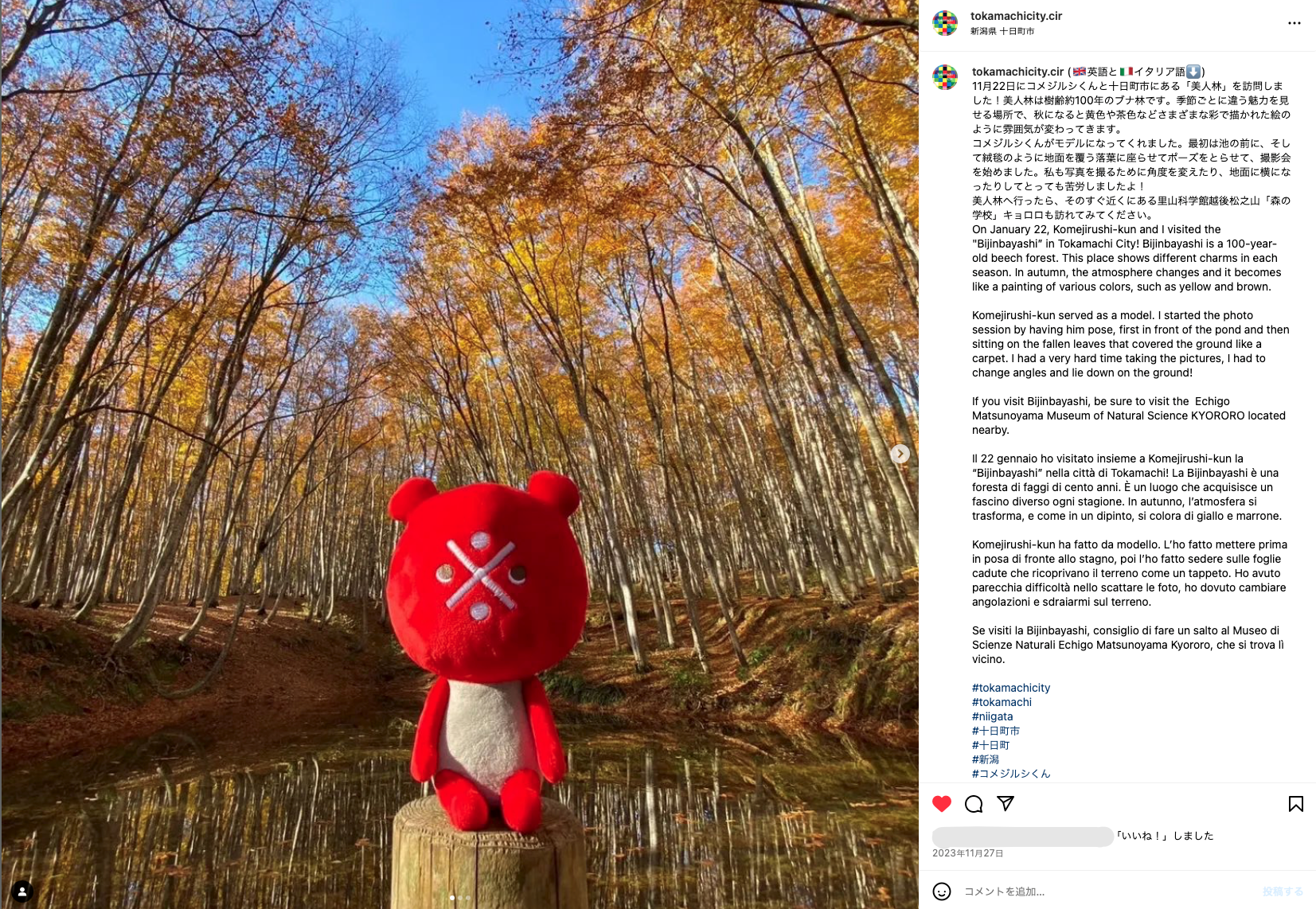 インスタグラムのアカウント「Tokamachi City CIR・十日町市国際交流員」に投稿された松之山の美人林の写真と掲載コメント