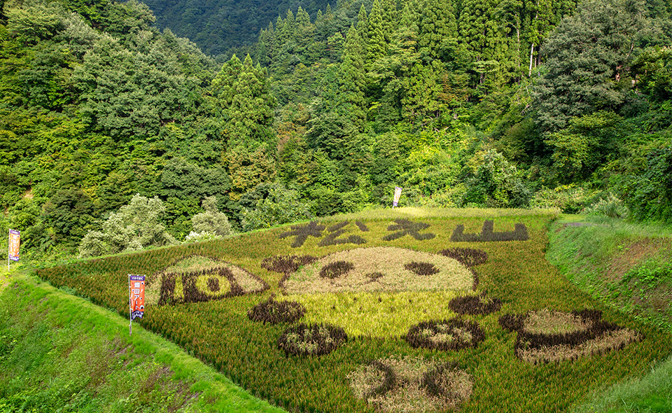 棚田アート（松之山地域）