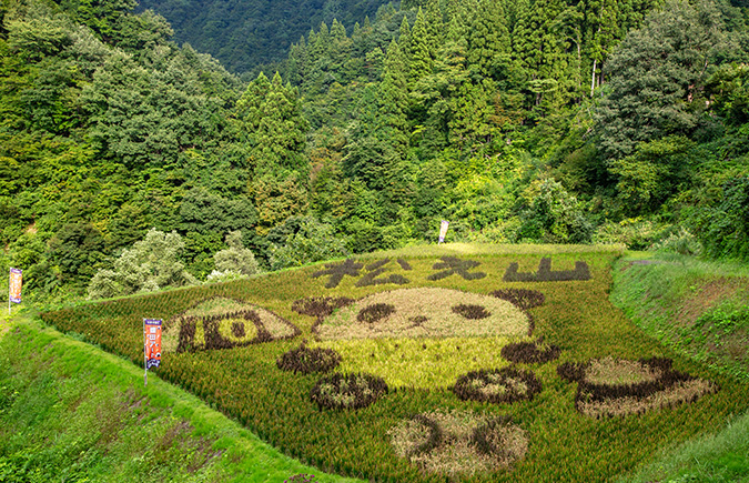 棚田アート（松之山地域）