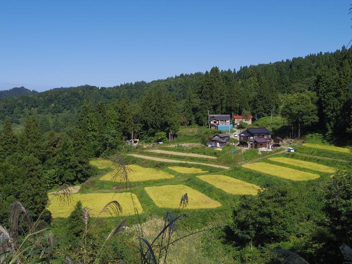 池谷・入山の棚田