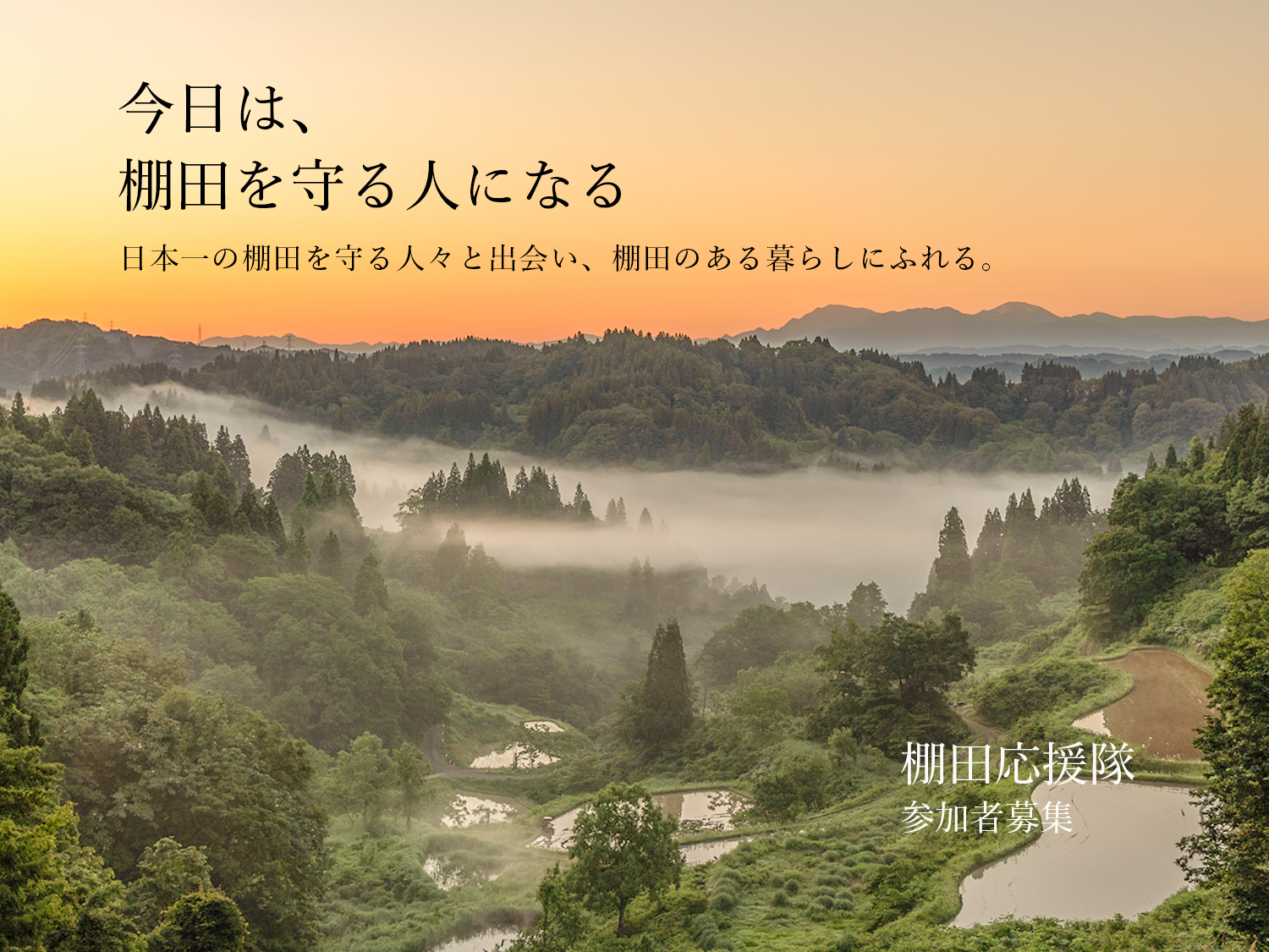 応援隊メインバナー