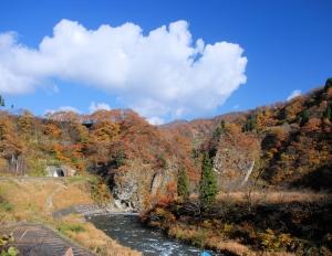 青空の下に、紅葉の景色が広がる清津川の写真