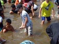 子供たちが水に入って遊んでいる、清津川さかなまつりの様子の写真