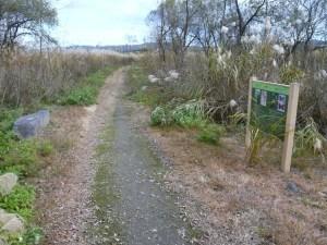 遊歩道の脇に設置された、公園内にある植物看板の写真