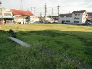 敷地内より撮影された、明石公園南側の景観の写真