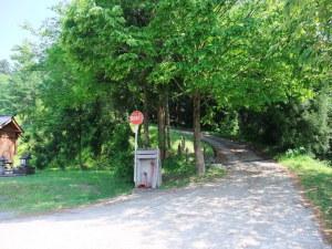 諏訪神社境内の脇にある、ライオンズの森へ通ずる坂道の写真