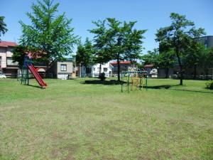 並んでいる木々を背に寿北公園の遊具が収められた写真