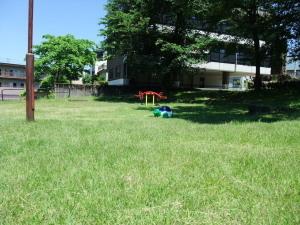 敷地内中央付近より撮影された、公園北側の景観の写真。写真奥にシーソーが確認できる