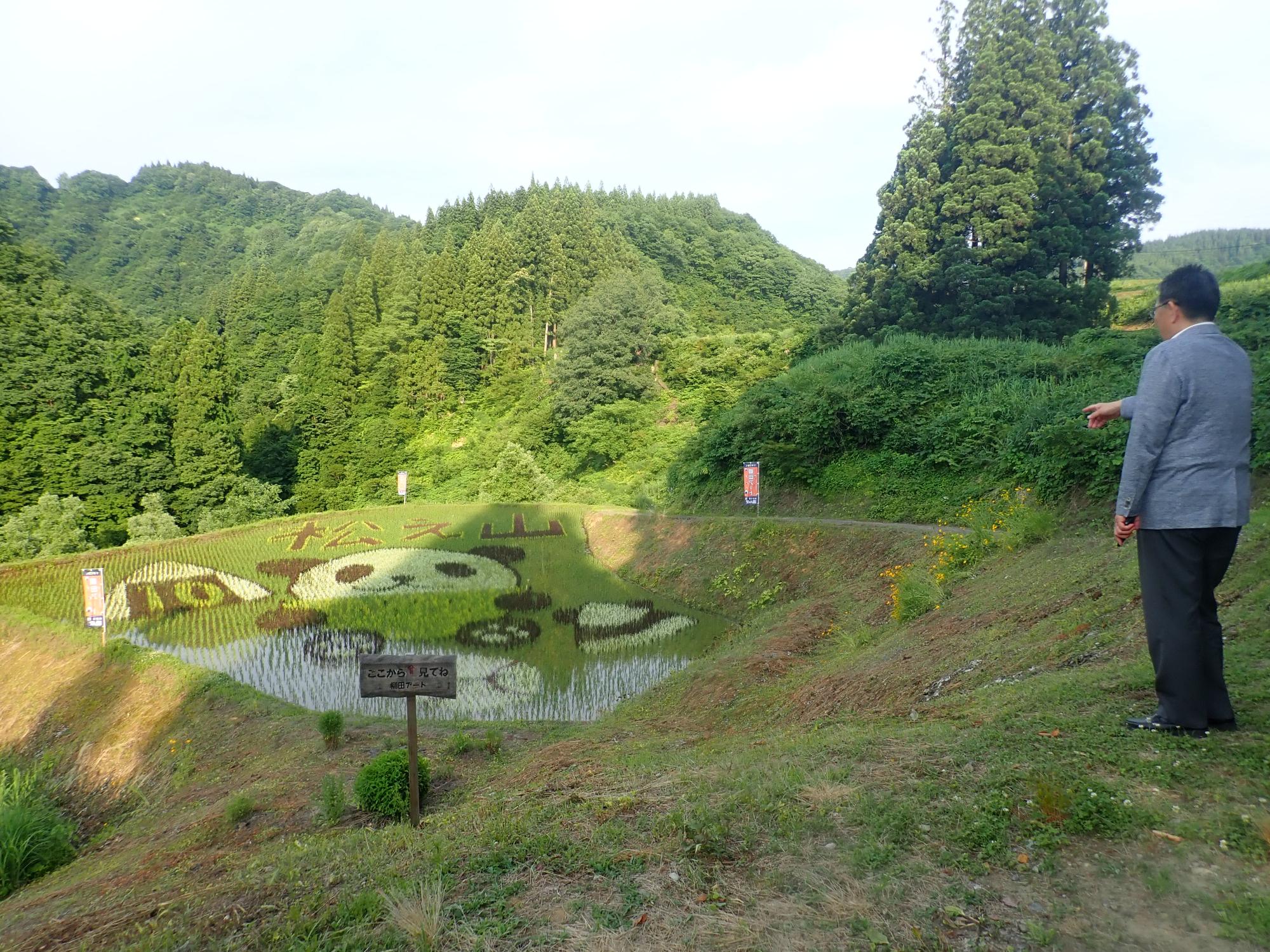おひつ膳田んぼの田