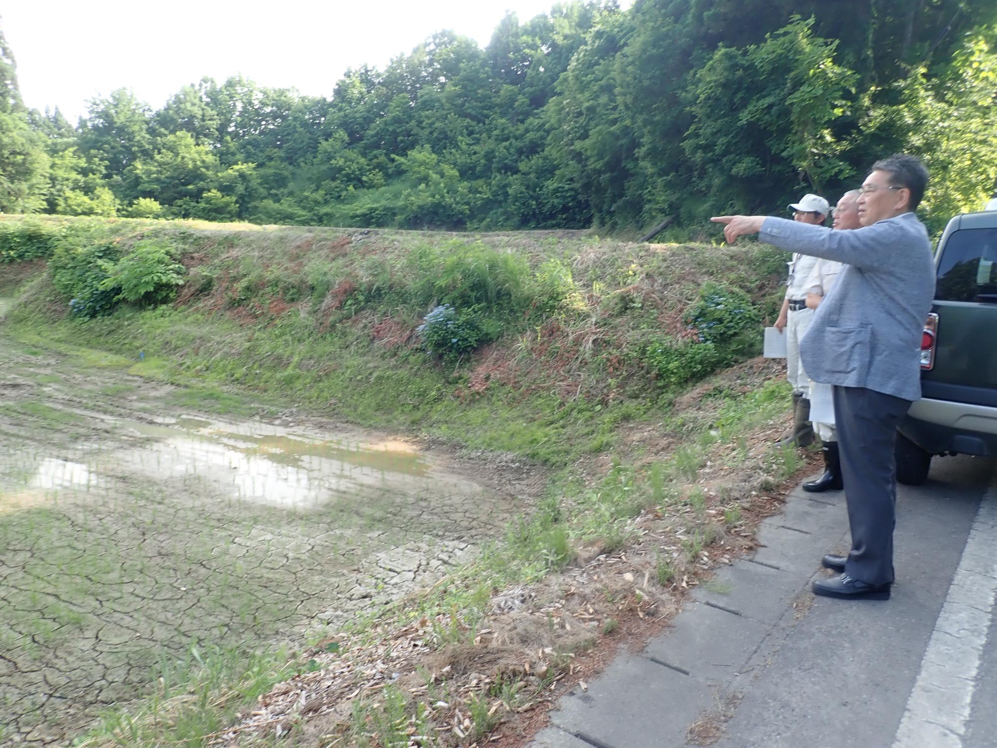 渇水視察 蒲生