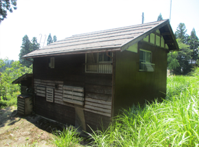 高い草に覆われた中心に立つ濃い色の木造式2階建て一軒家の写真