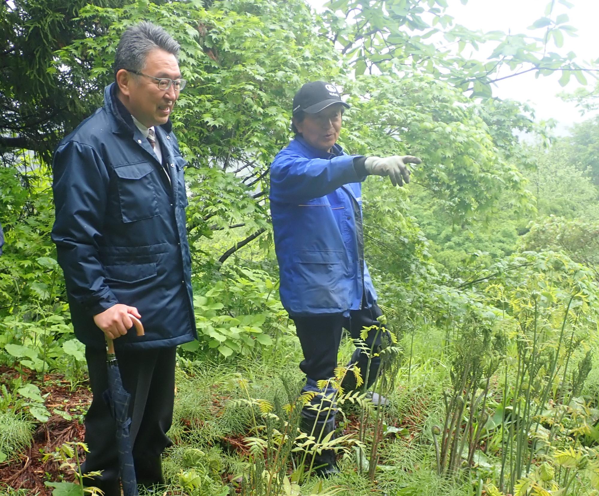 村山さんから松之山山菜園の説明を受ける市長の写真