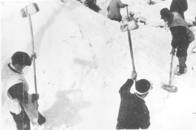 複数人で木槌を使って雪を固め、雪室（ゆきむろ）の土台を作っている写真