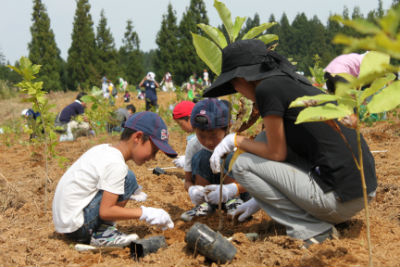 子供が苗を植えているのを大人が見守っている。