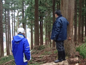 林間部を視察する関口市長。