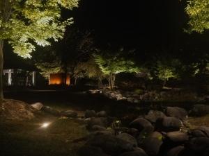 暗闇の中で景観照明が点灯した、清津川フレッシュパークのライティング風景の写真