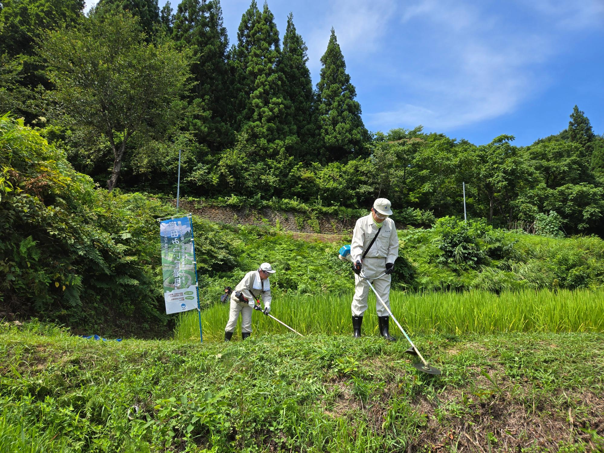 草刈り作業の様子