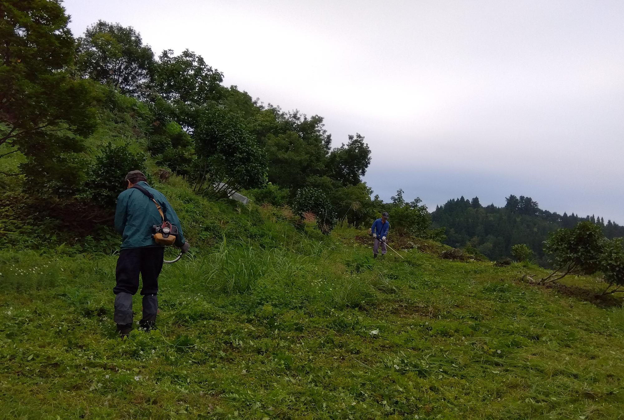 大井田城跡の維持管理作業をしている画像