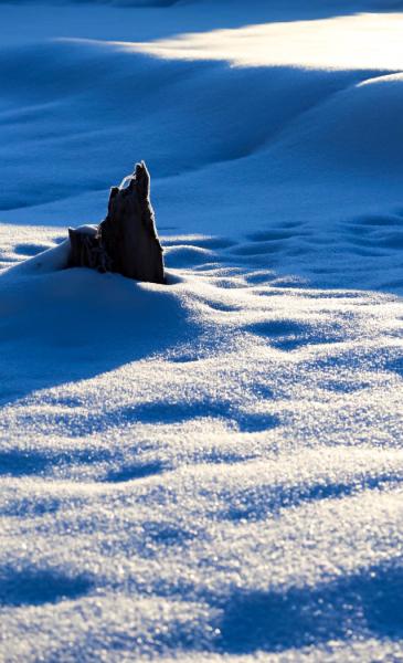 一面に広がる雪原が霜に覆われている様子の写真