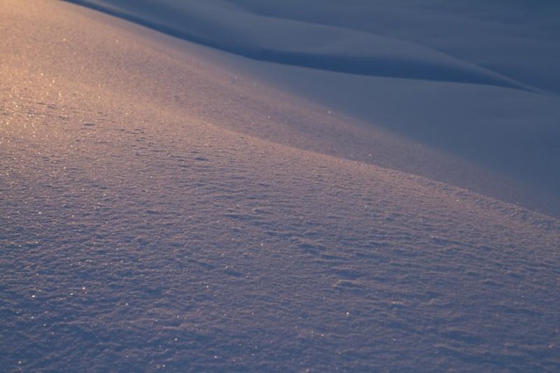 雪原が霜に覆われて日が暮れている様子の写真