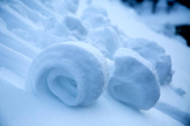 雪がロールケーキのように丸まっている様子の写真