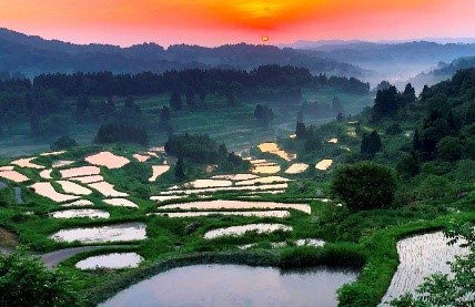 つなぐ棚田遺産イメージ画像