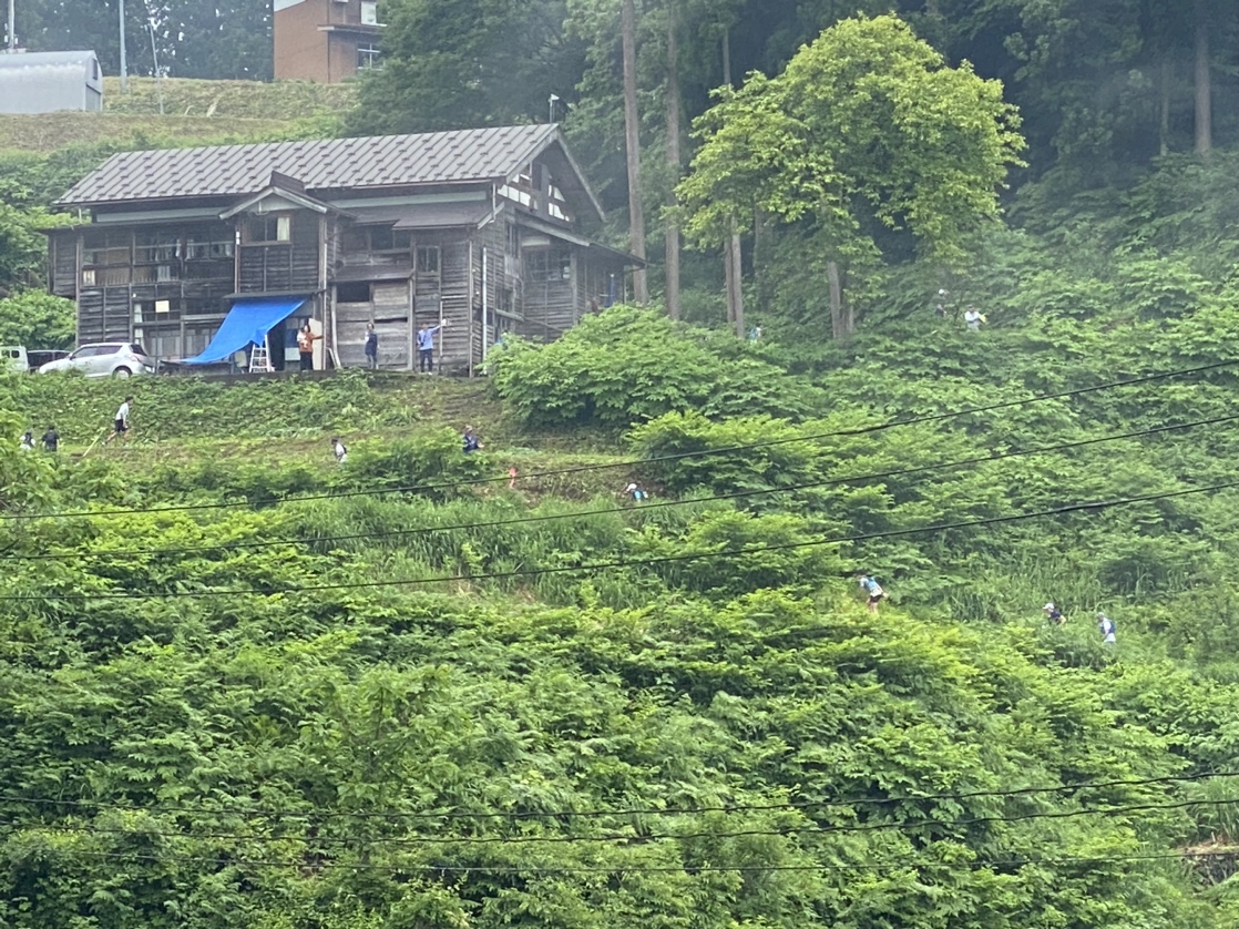 レース