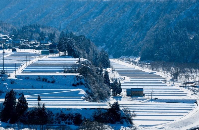 畑にびっしりと雪が積もっている町の風景写真
